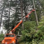 Installing a 45’ pole for a client in Chilliwack